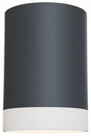 Maytoni Ceiling & Wall C008CW-01B фото