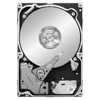 Seagate ST91000640SS